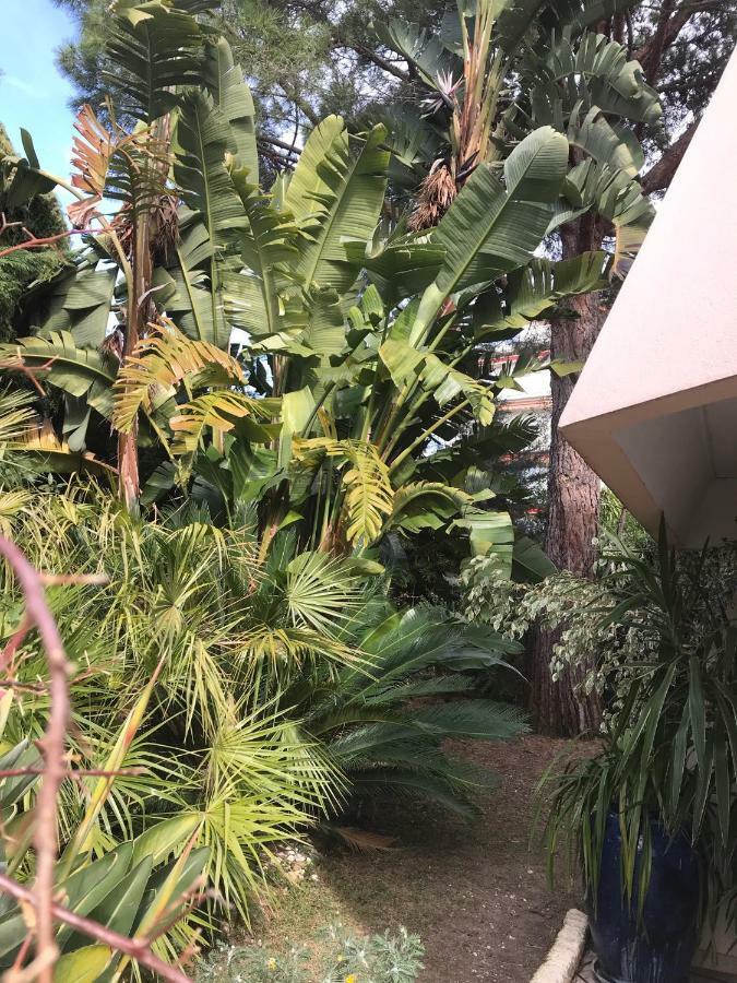 19 Rue Du Parc Alexandre III Apartamento Cannes Exterior foto